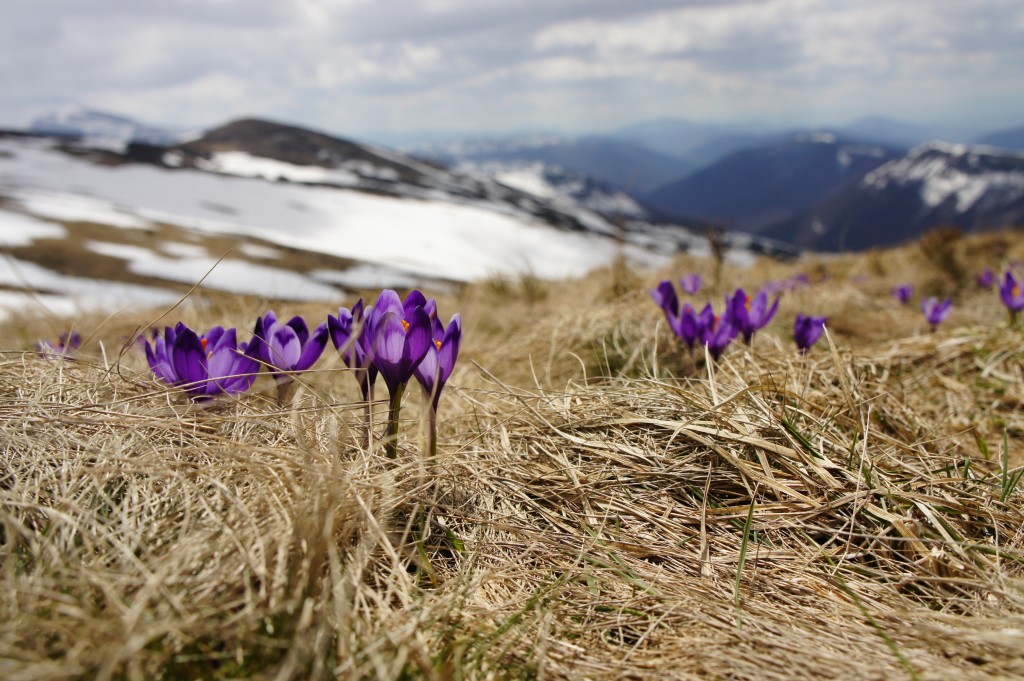 Biegun Wschodni via Unsplash