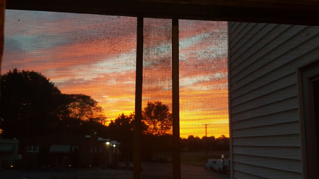 View through a window screen of a pink, orange and yellow sunset in a suburban neighborhood